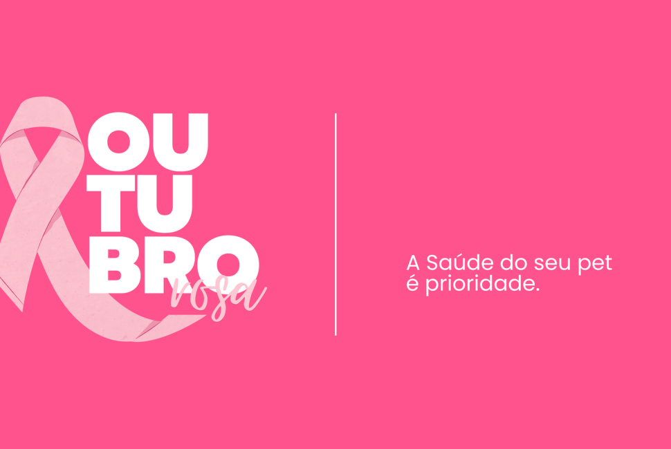 Design sem nome - 2025-06-02T181317.533