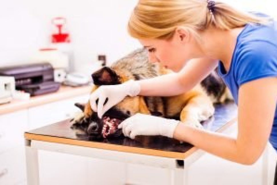 limpeza-de-tartaro-hpmv-2